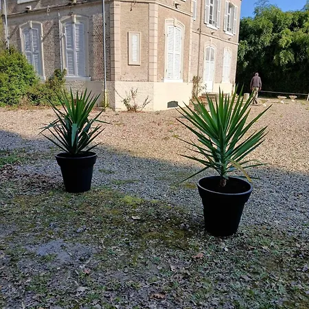 Caleche, Au Chateau Au Milieu D Un Bois En Baie De Somme *