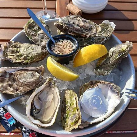 Caleche, Au Chateau Au Milieu D Un Bois En Baie De Somme アパート